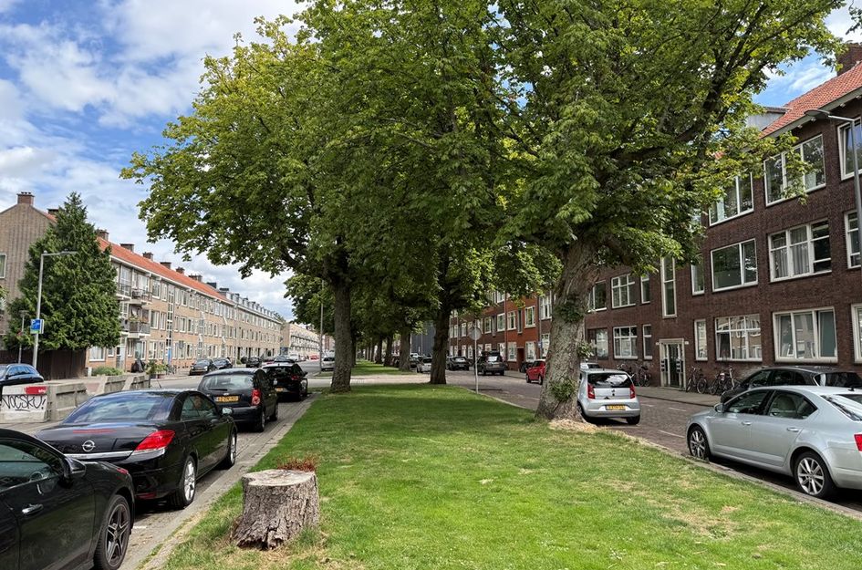Goereesestraat 116B