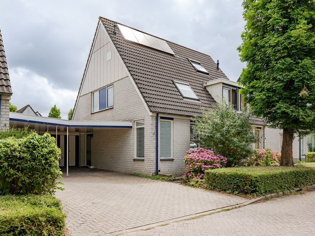 Harn 45, Midwoud