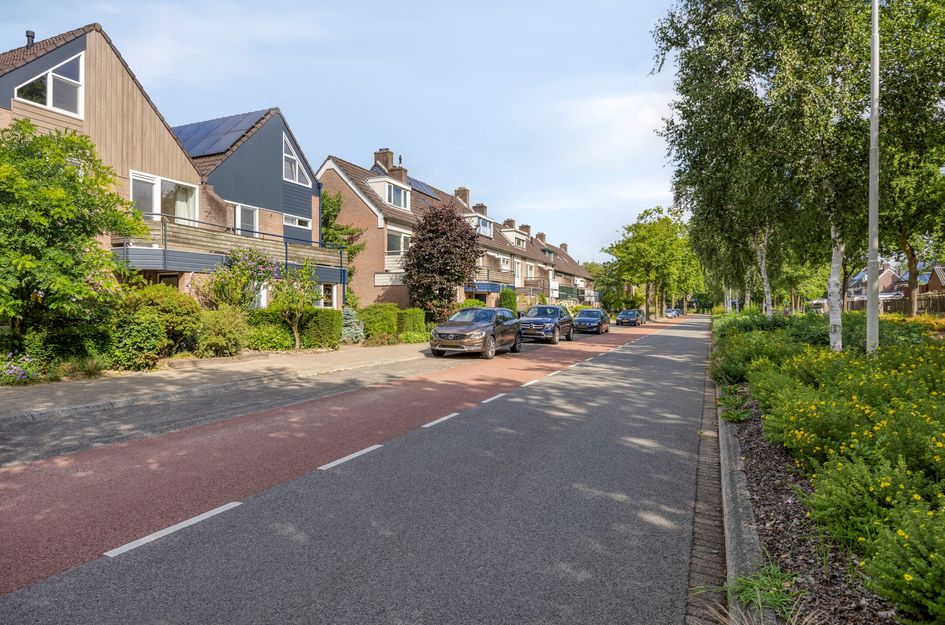 Fransebaan 99