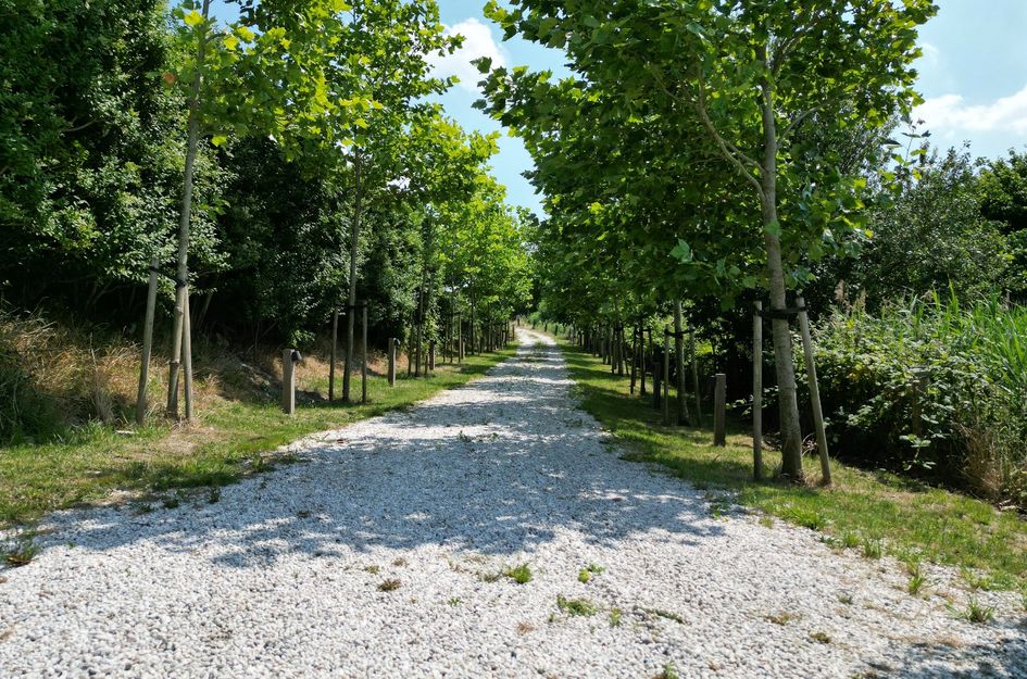 Ringdijk Noord 22a