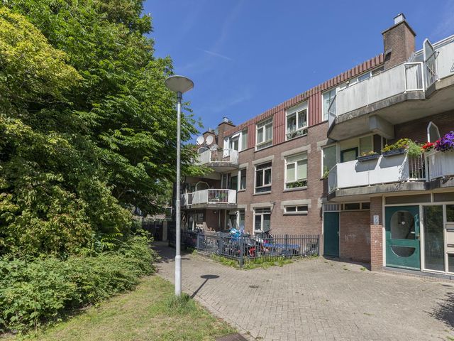 Toutenburgplantsoen 29, Rotterdam