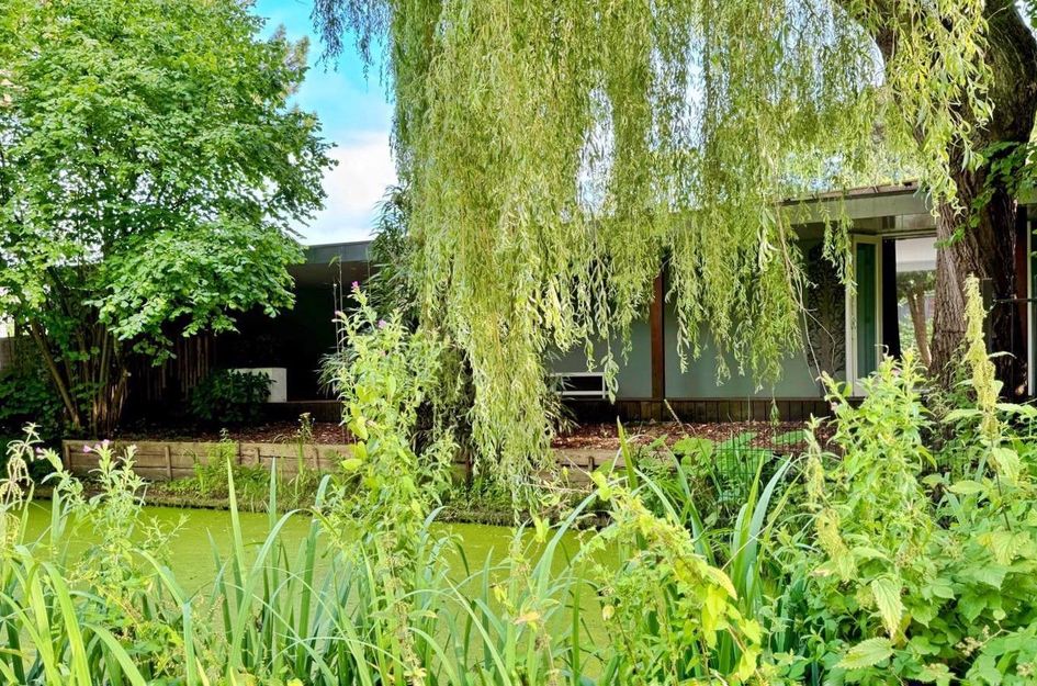 Lindenlaan 3