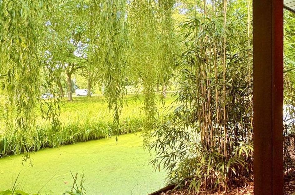 Lindenlaan 3