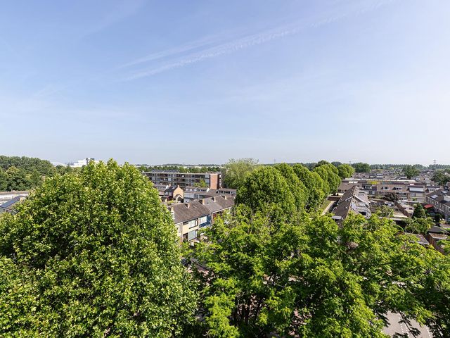 Jacob van Ruysdaelstraat 28, Papendrecht