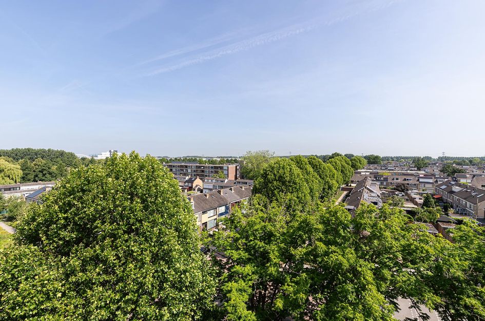 Jacob van Ruysdaelstraat 28