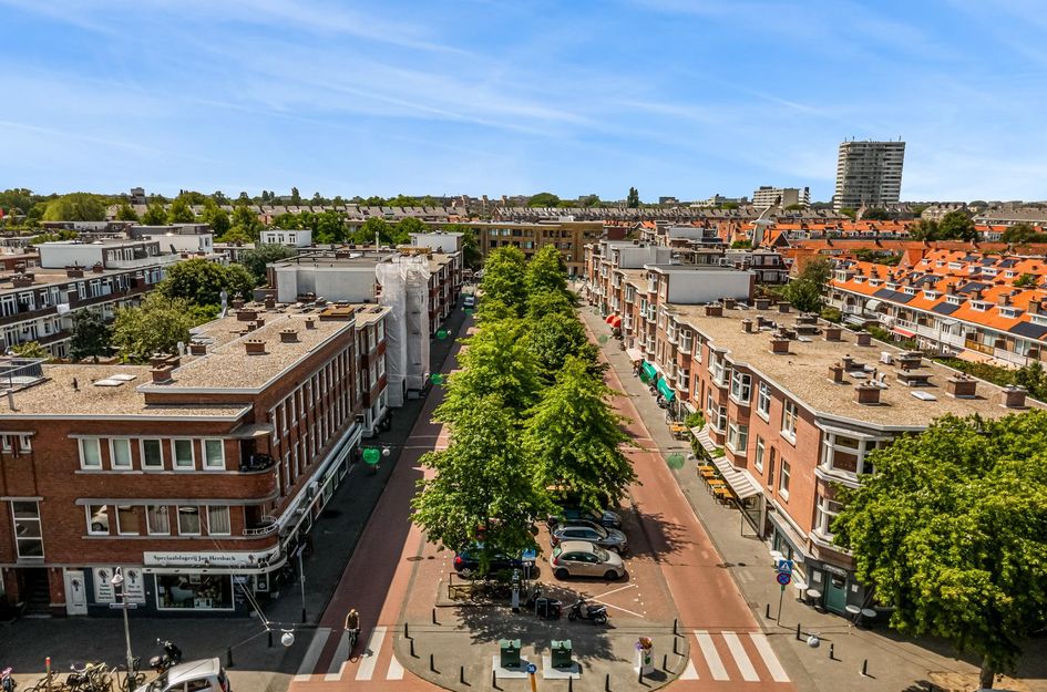 Vlierboomstraat 547