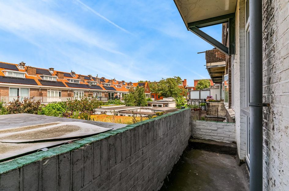 Vlierboomstraat 547