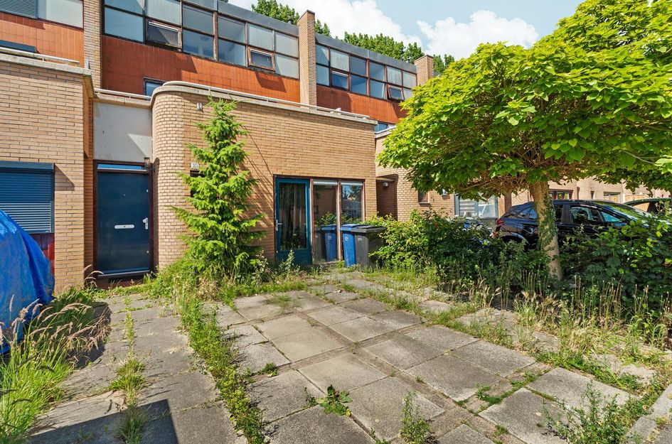 Anjerstraat 10