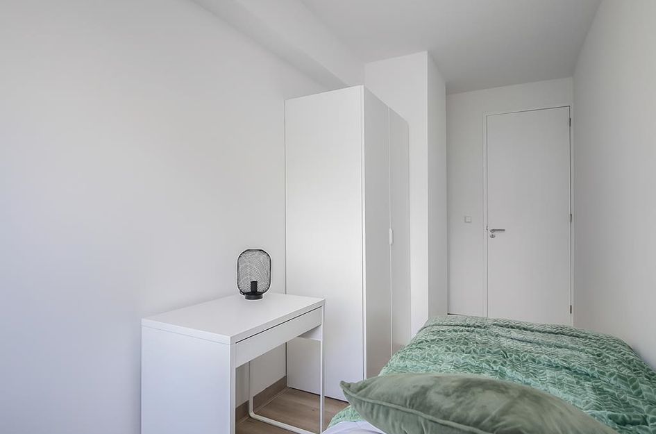 Meander 397