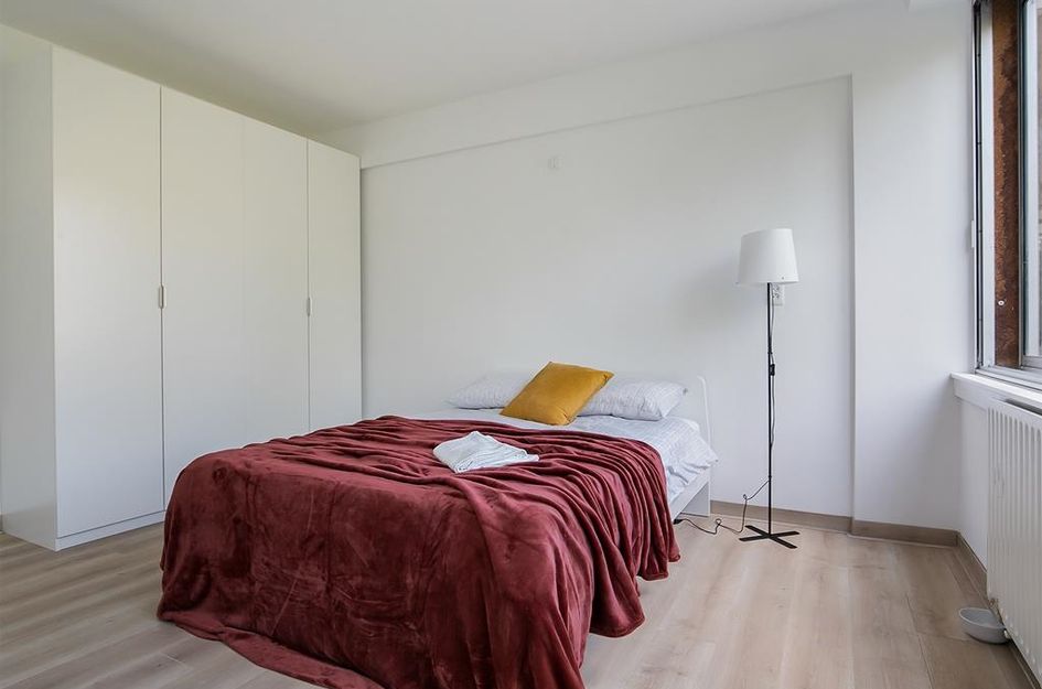 Meander 397