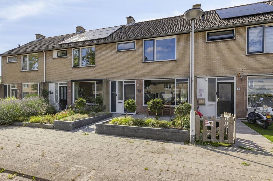 Hoogaarsstraat 13