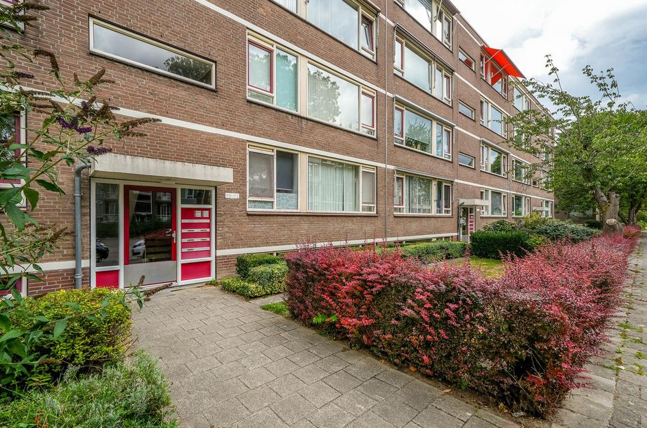 Wilbertoord 100