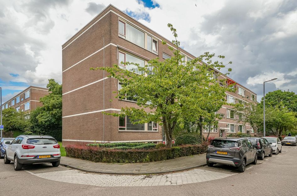 Wilbertoord 100