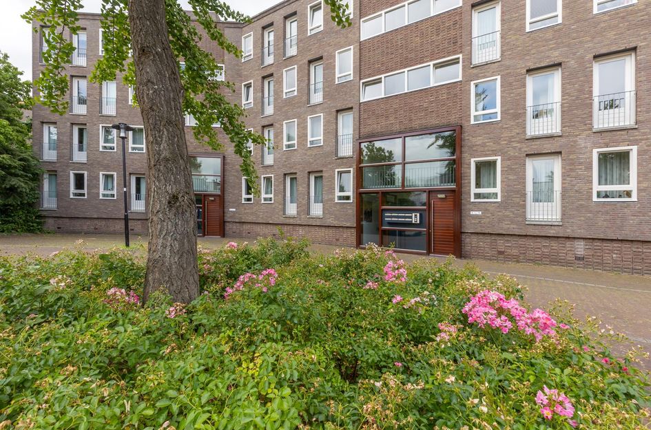 Dobbelsteynporte 14