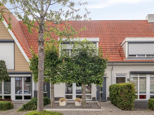 Aurelia 6, Terneuzen