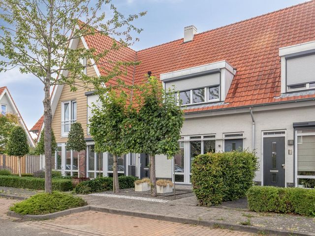 Aurelia 6, Terneuzen