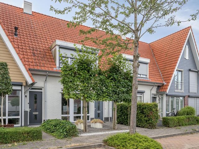 Aurelia 6, Terneuzen