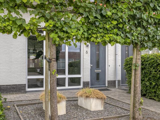 Aurelia 6, Terneuzen