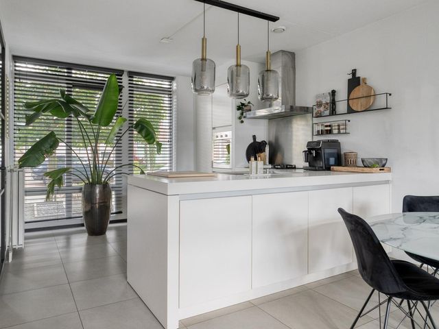 Aurelia 6, Terneuzen