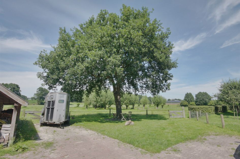 Kabeljauw 6