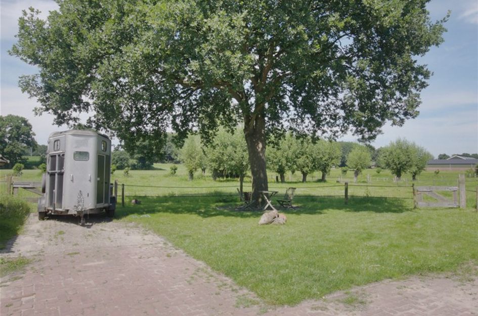 Kabeljauw 6