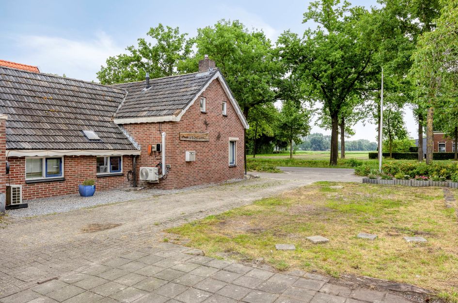 Zandberg 92