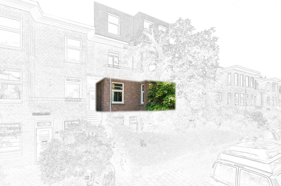 Vlierboomstraat 244