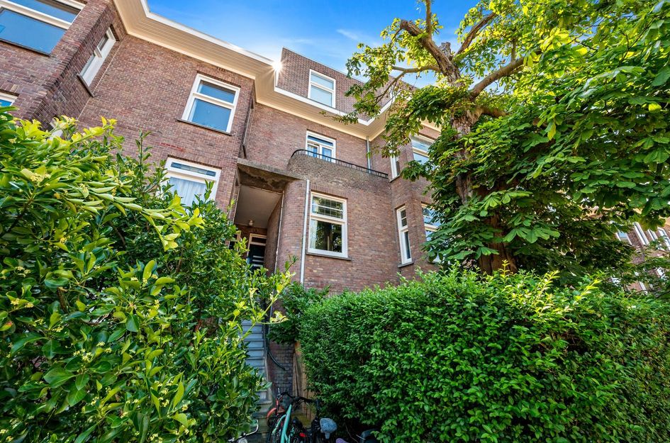Vlierboomstraat 244