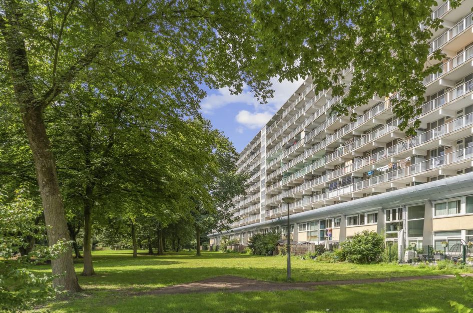 Hoogoord 14