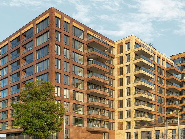 Mahoniehout 419, Zaandam