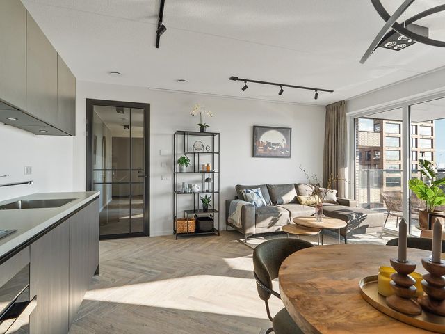 Mahoniehout 419, Zaandam