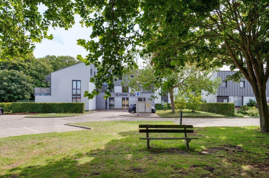 De Lopinge 95
