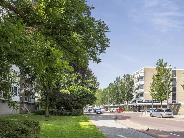 Madridplantsoen 115, Haarlem