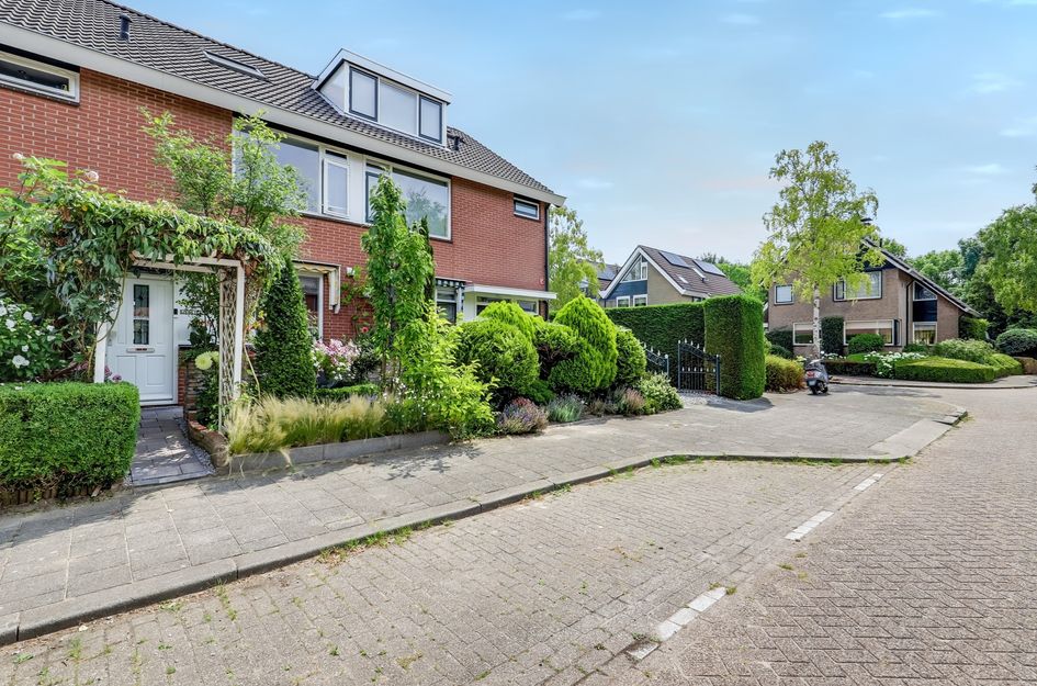 Pelikaan 46