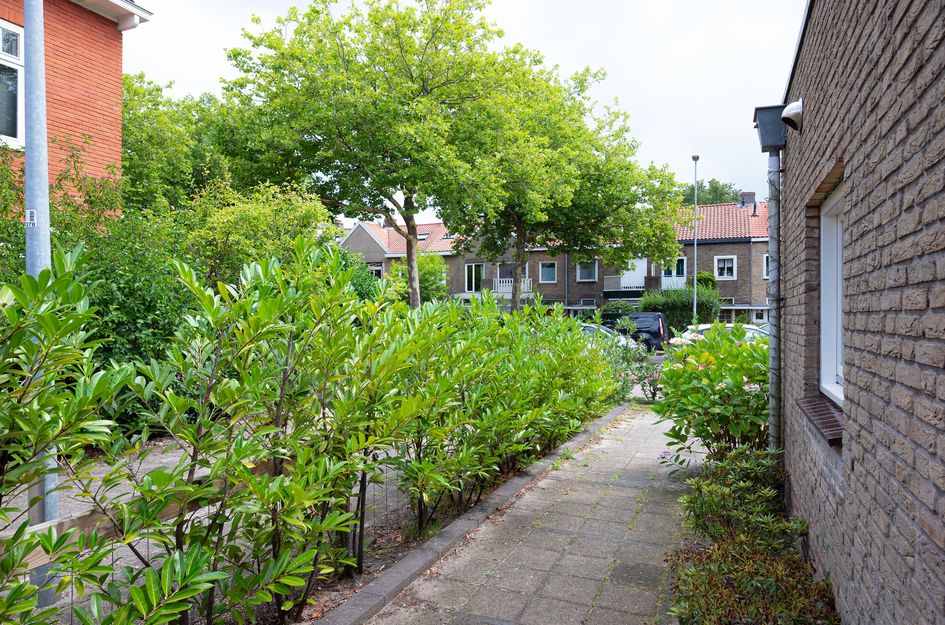 Rijksstraatweg 229A
