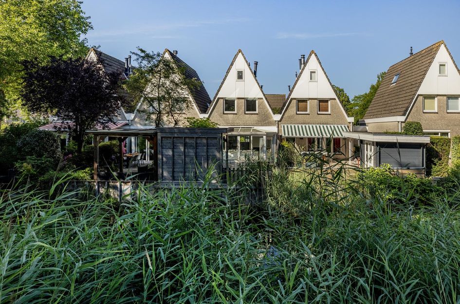Zaagmolen 6