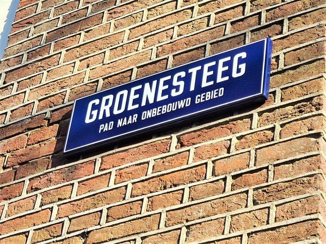 Groenesteeg 44, Leiden