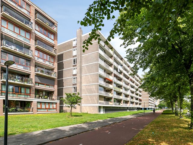 Willem Landréplein 53, Schiedam