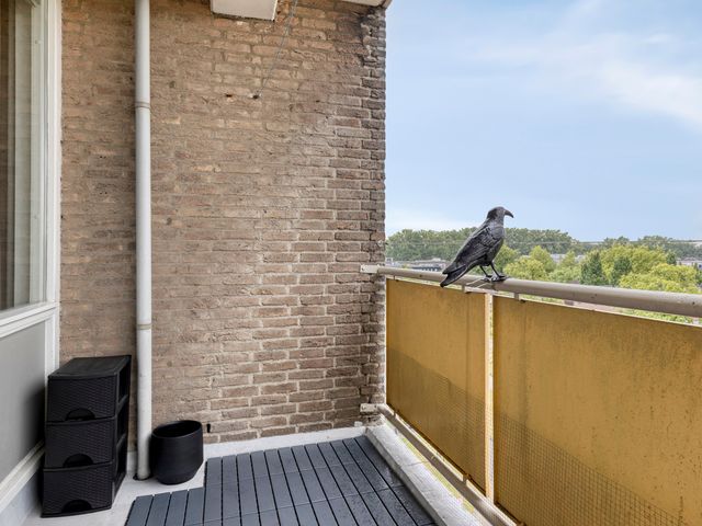 Willem Landréplein 53, Schiedam
