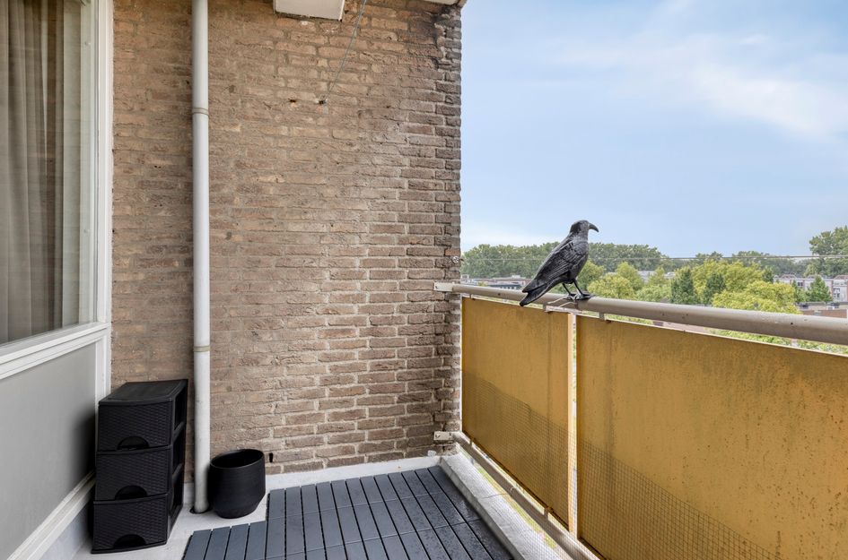 Willem Landréplein 53