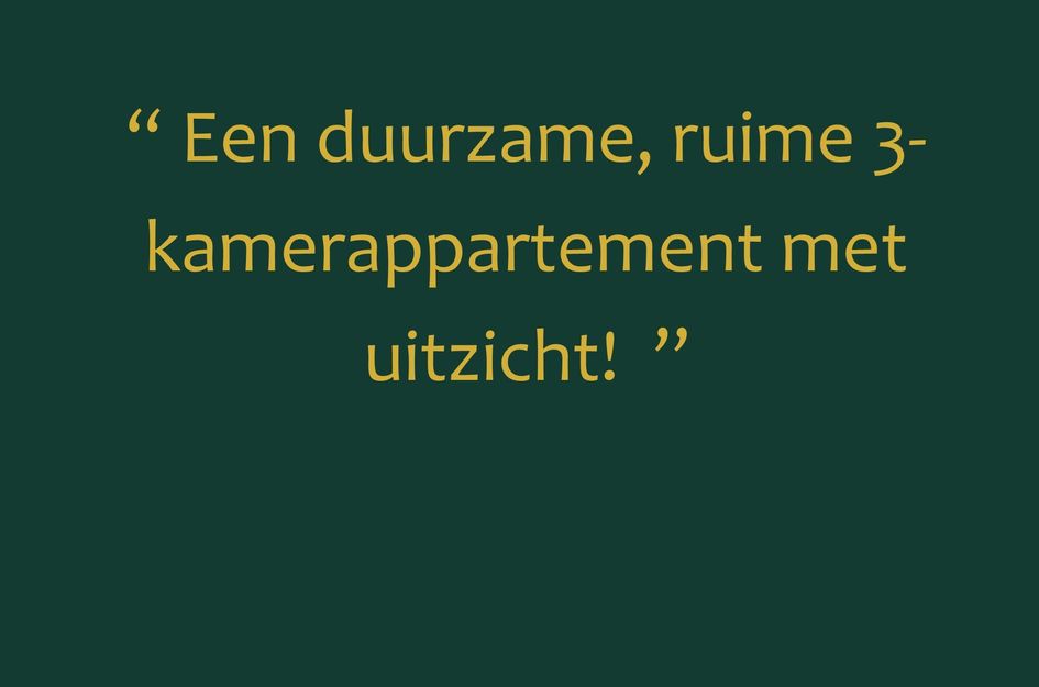 Thetfordstraat 172