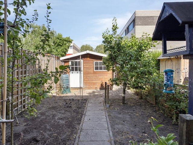 Volder 6, Hoorn