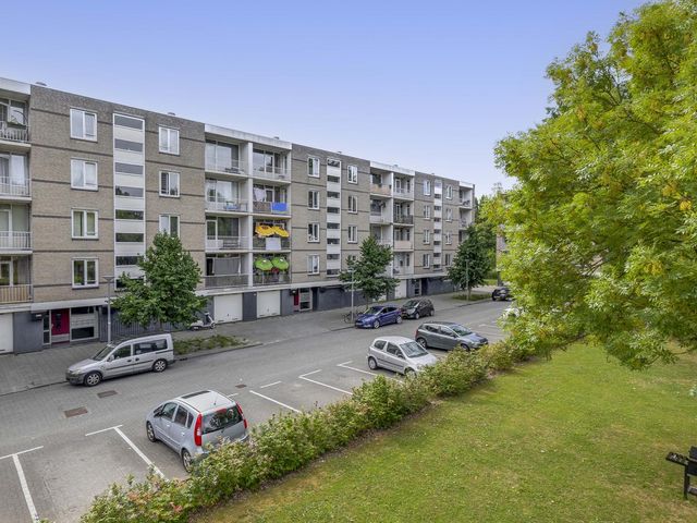 Ruygeplaat 153, Rozenburg