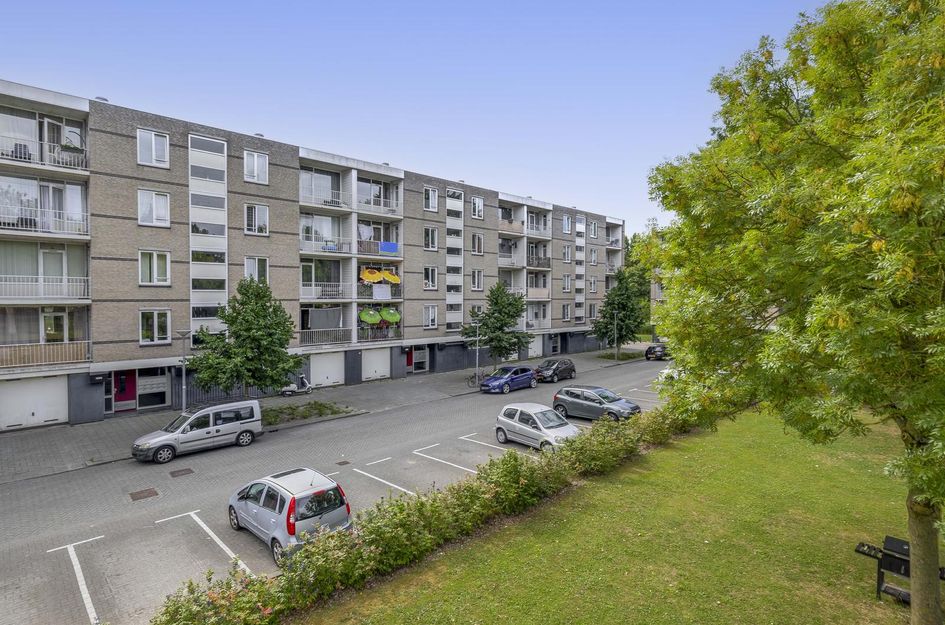 Ruygeplaat 153