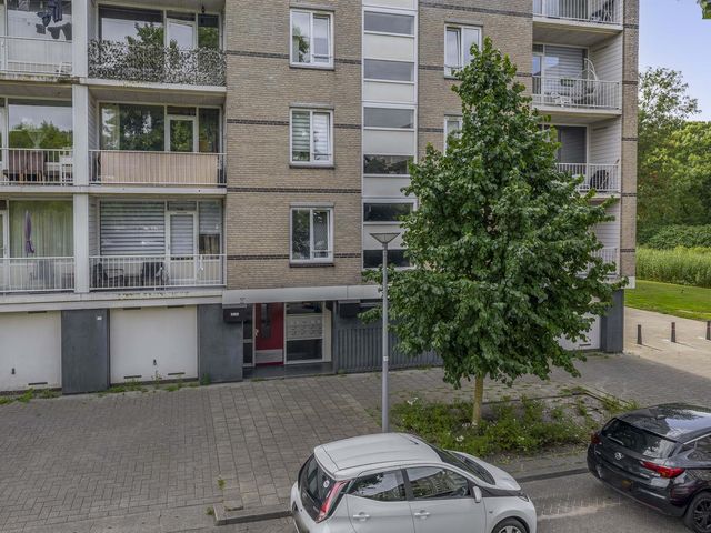 Ruygeplaat 153, Rozenburg