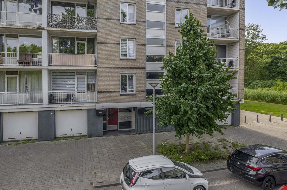 Ruygeplaat 153
