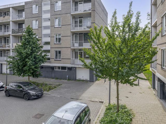 Ruygeplaat 153, Rozenburg