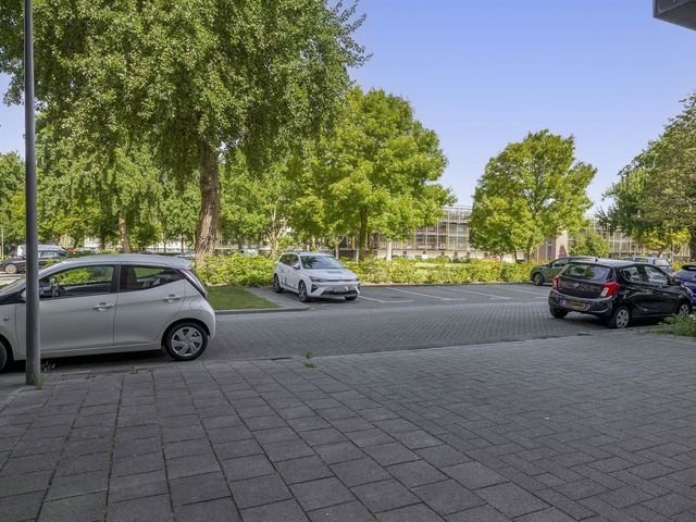 Ruygeplaat 153, Rozenburg