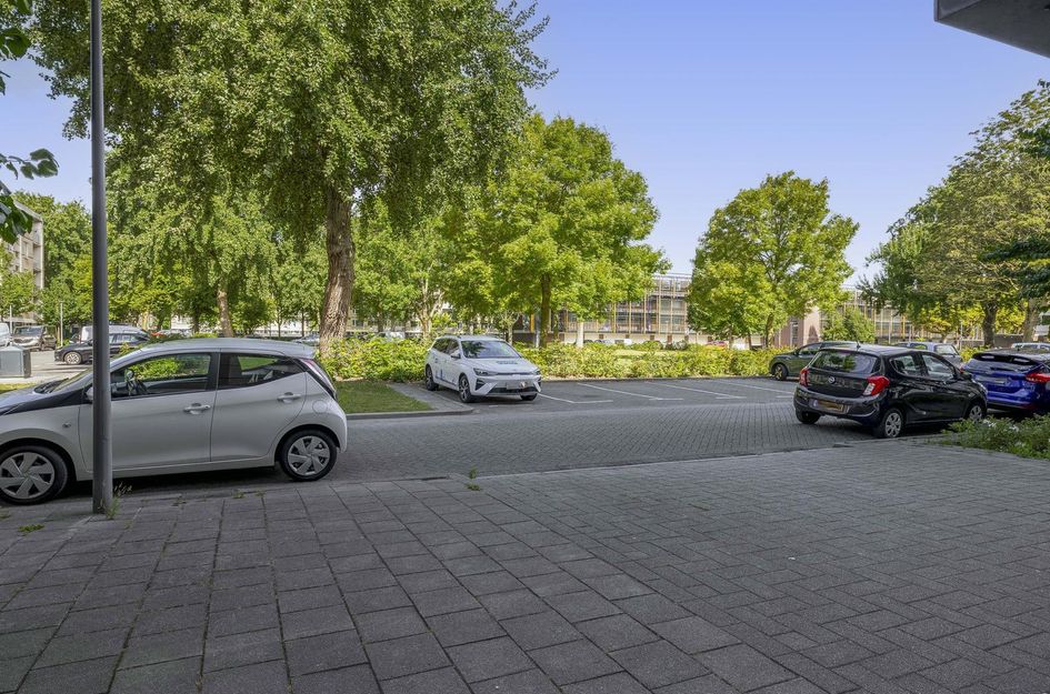 Ruygeplaat 153
