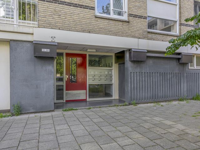 Ruygeplaat 153, Rozenburg